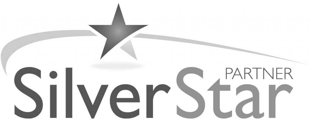 merklin-schornsteintechnik-partner-silverstar-sw